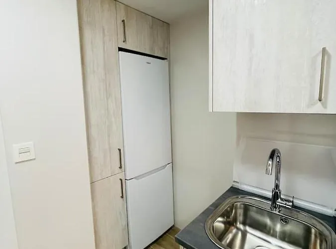 Palacio De Larrinaga 아파트 *